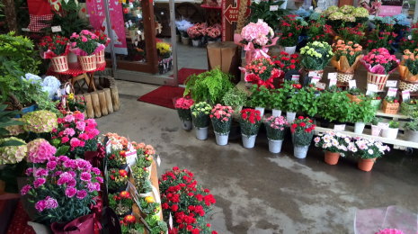 シティクリエイト店内