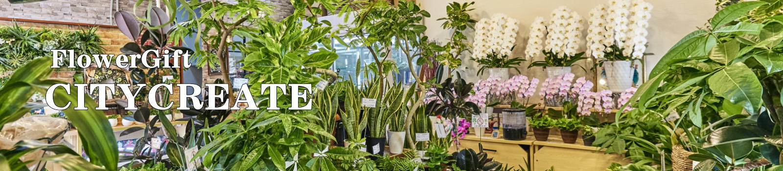 �ϗt�A�����C���e���A�Ƃ��ď����Ă͂������ł���